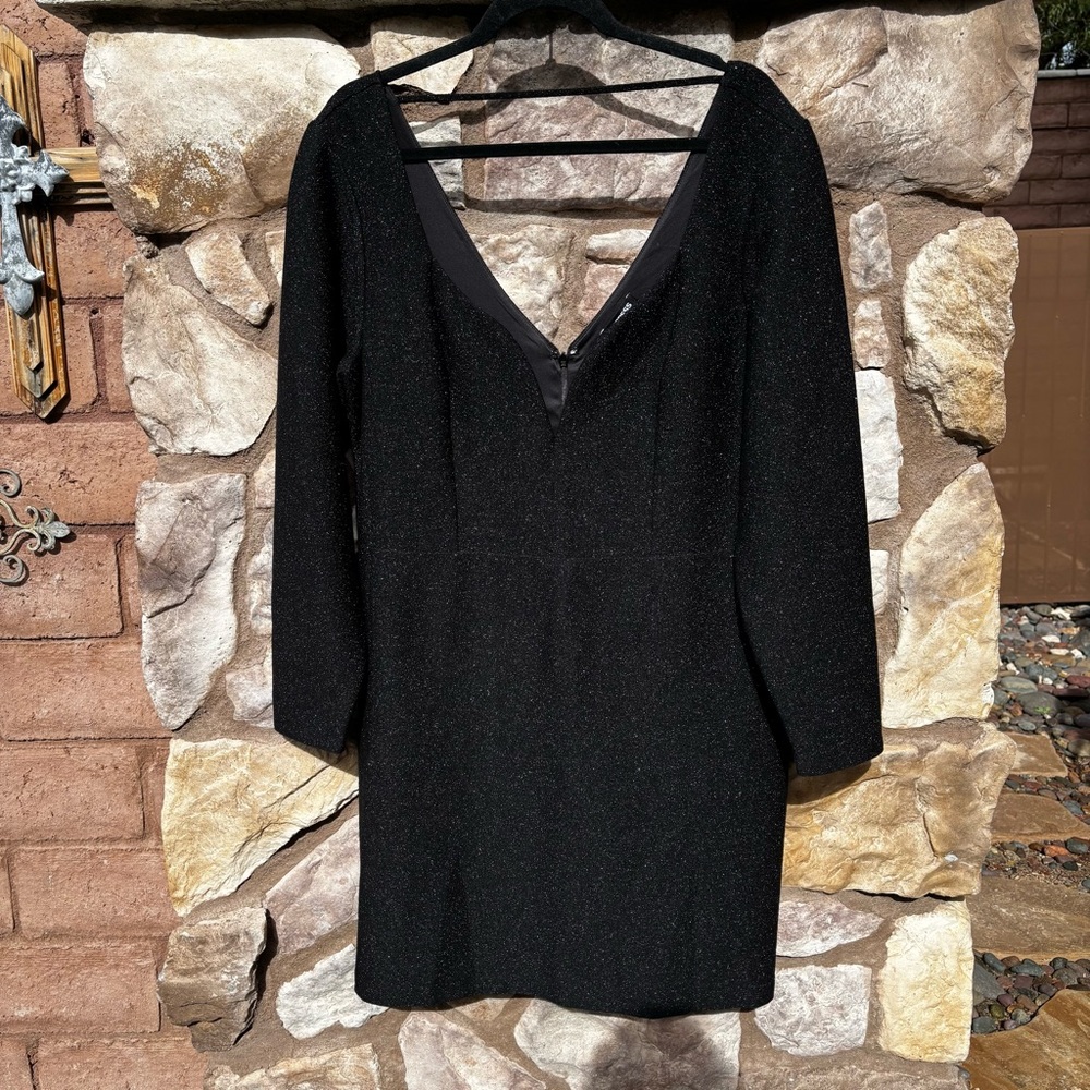 Express Black Sparkle Dress V-back XL Long Sleeve LBD